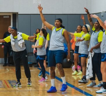 Dallas Wings, WNBA
