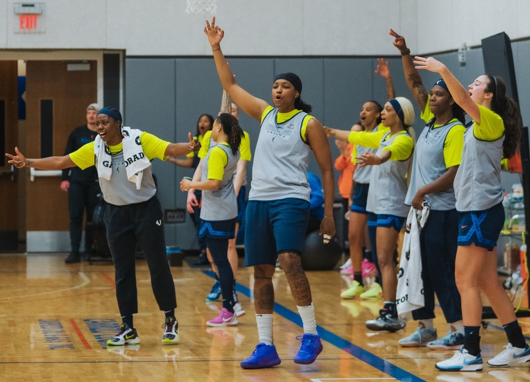 Dallas Wings, WNBA