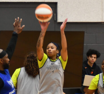 Tyasha Harris, Dallas Wings, WNBA