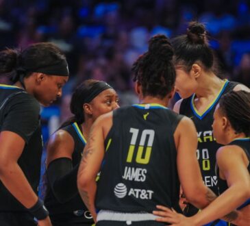 Dallas Wings, WNBA