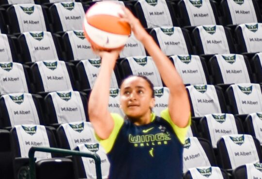 Haley Jones, Dallas Wings, WNBA