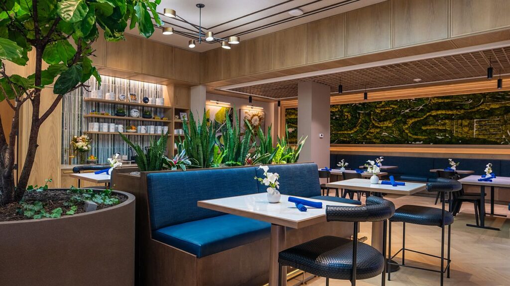 Dallas Mavericks practice facility dining room with a potted ficus tree beside blue banquette seating.